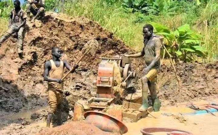 WhatsApp Image 2025-09-27 at 6.35.53 AM (2)