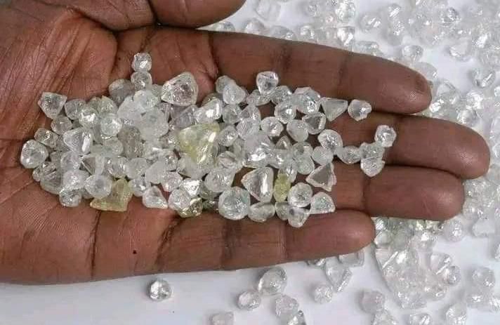 WhatsApp Image 2025-09-27 at 6.35.53 AM