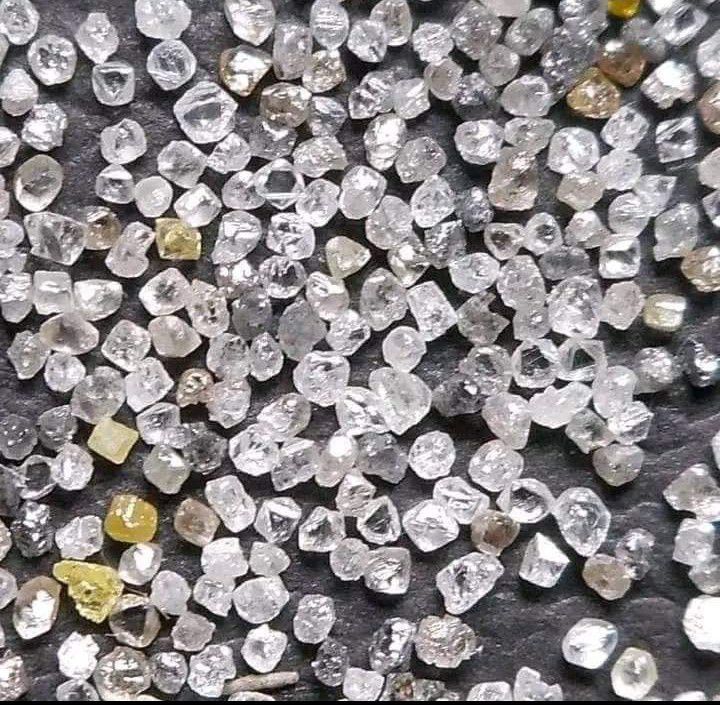 WhatsApp Image 2025-09-27 at 6.35.54 AM